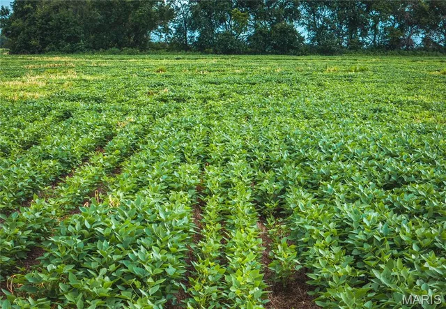 $925,000 | 14395 Hwy F Canton Mo 63435, Canton, MO 63435