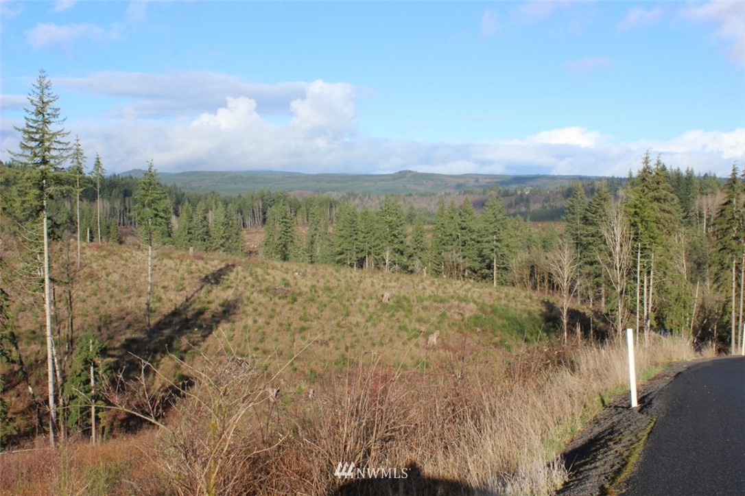 0 Cameron Creek Road Longview, WA 98632 - Photo 2 of 13