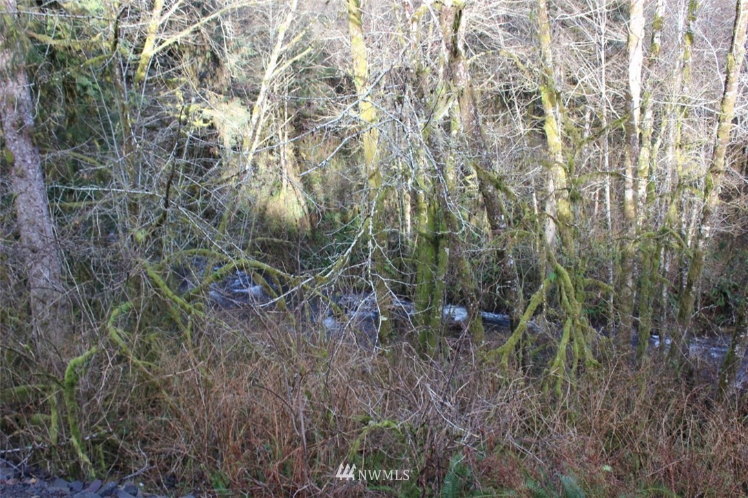 0 Cameron Creek Road Longview, WA 98632 - Photo 11 of 13