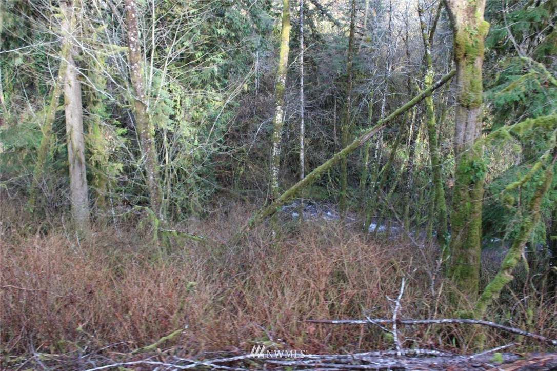 0 Cameron Creek Road Longview, WA 98632 - Photo 12 of 13