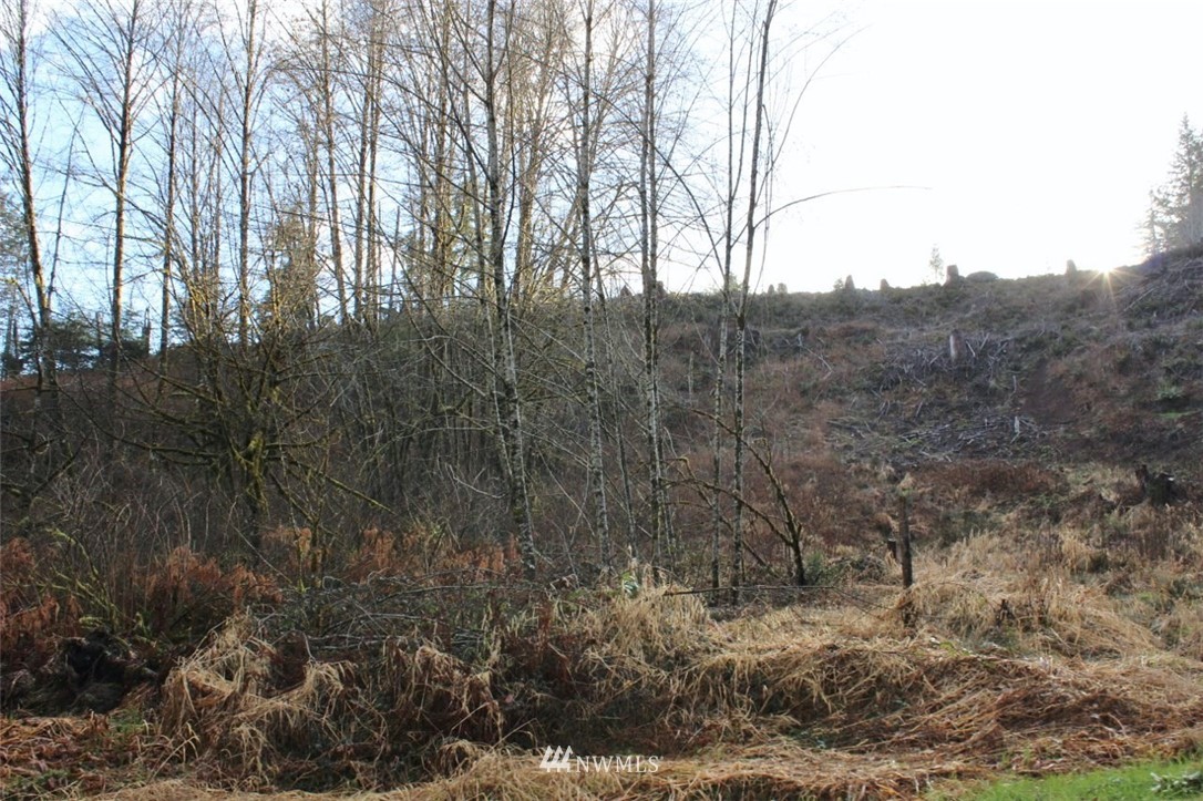 0 Cameron Creek Road Longview, WA 98632 - Photo 13 of 13