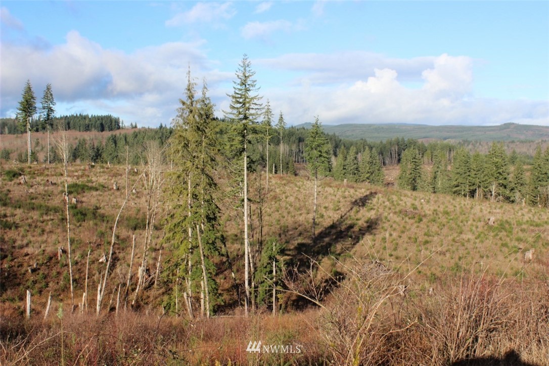 0 Cameron Creek Road Longview, WA 98632 - Photo 3 of 13