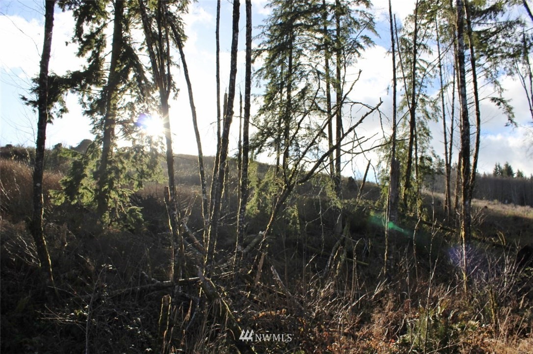 0 Cameron Creek Road Longview, WA 98632 - Photo 4 of 13