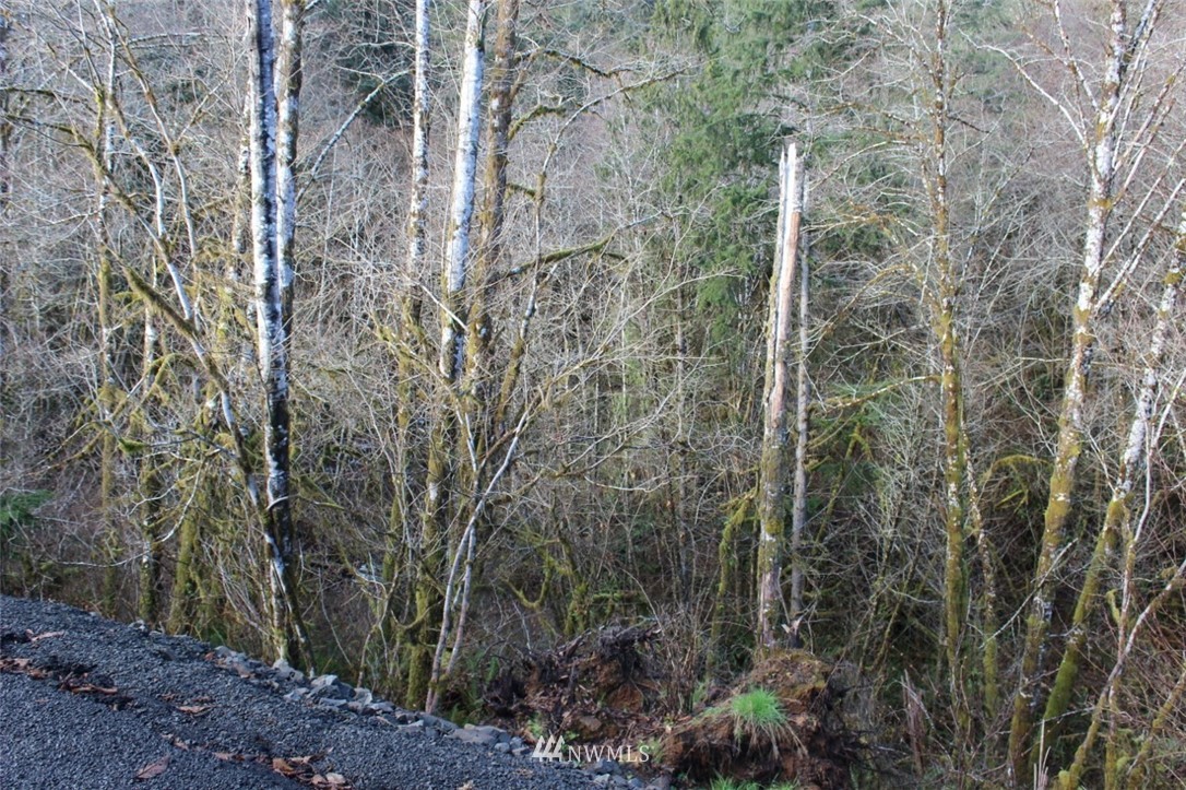 0 Cameron Creek Road Longview, WA 98632 - Photo 8 of 13