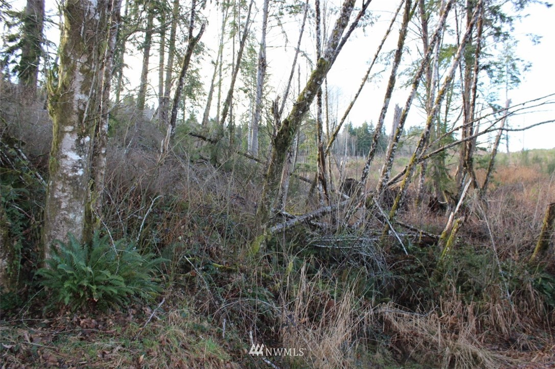 0 Cameron Creek Road Longview, WA 98632 - Photo 10 of 13