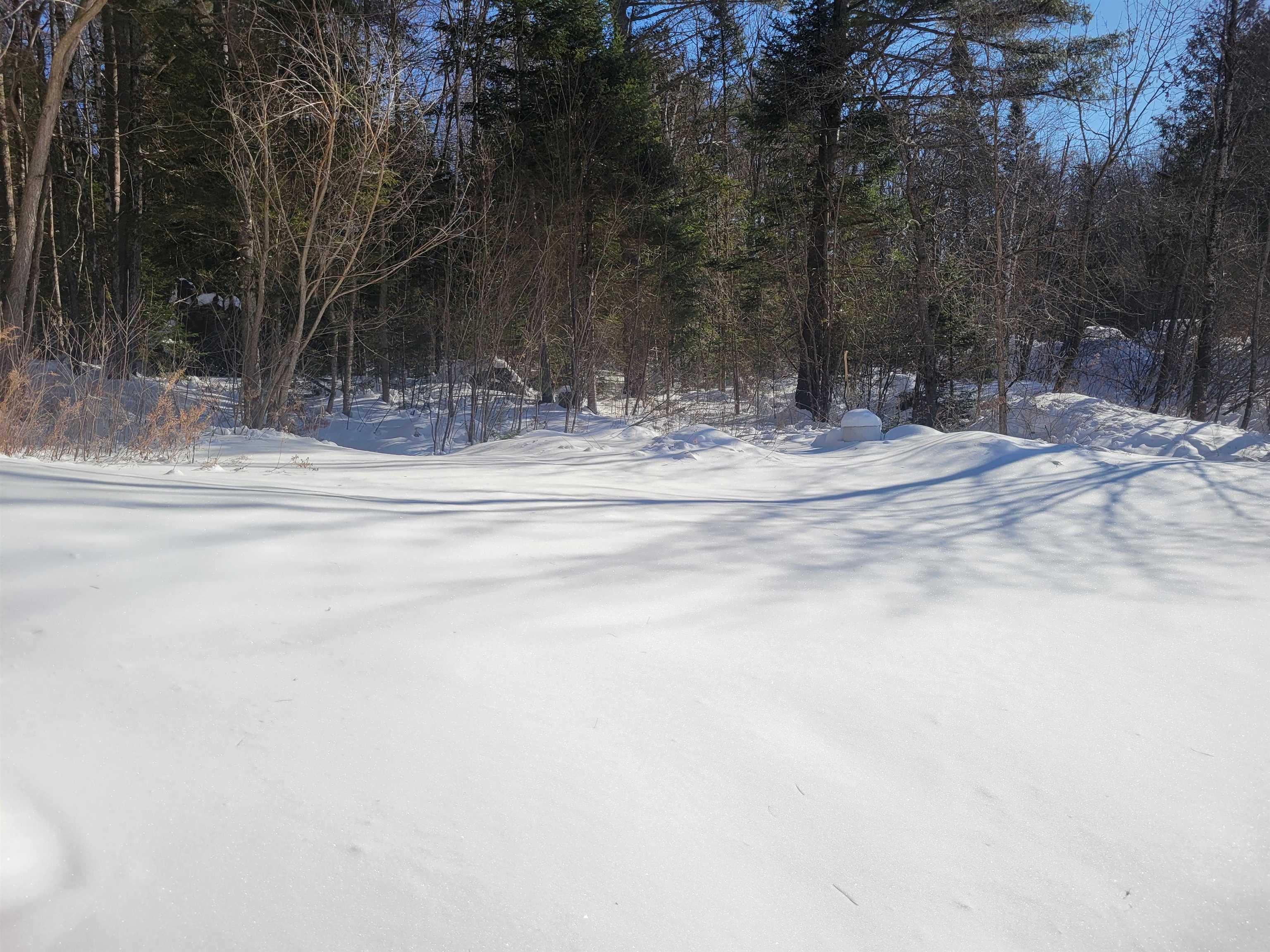 108 West Village Road Milan, NH 03588 - Photo 19 of 32