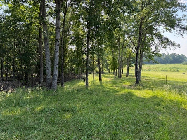 0 Roy Foster Road Smithville, TN 37166 - Photo 10 of 12 Gallery Image 10