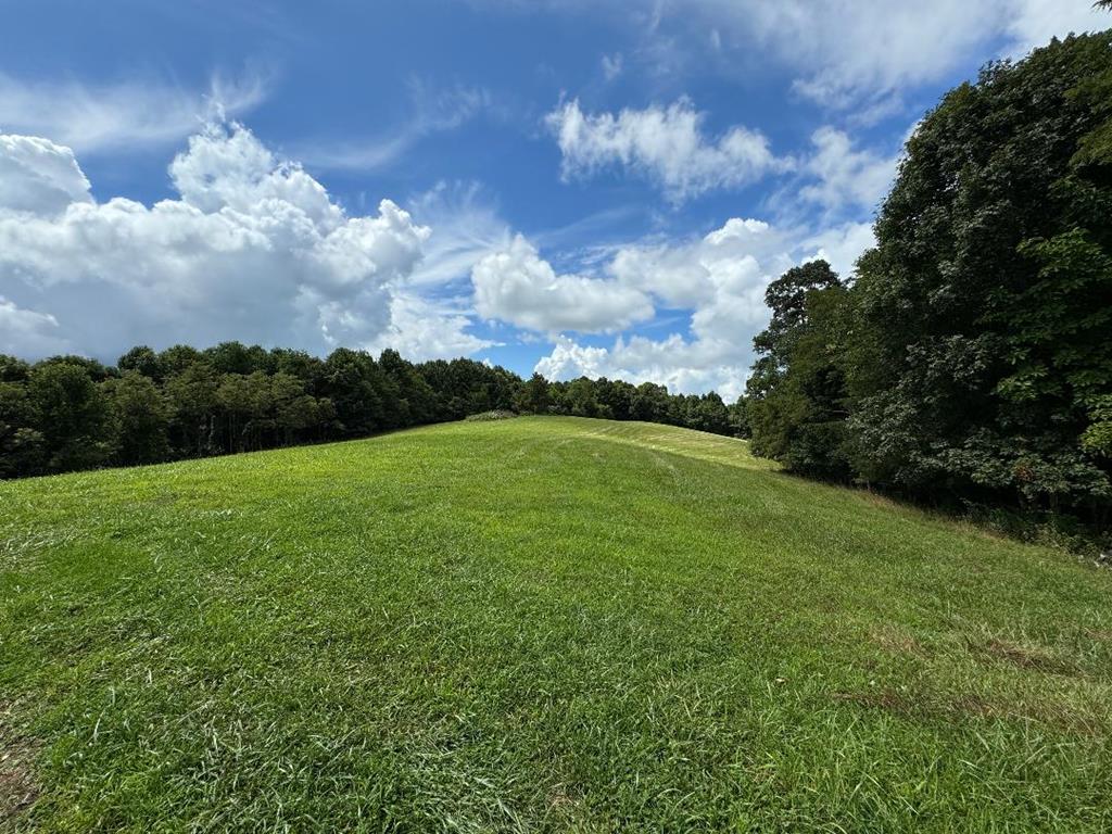 450 High Point Road Woodlawn, VA 24381 - Photo 31 of 55 Gallery Image 31