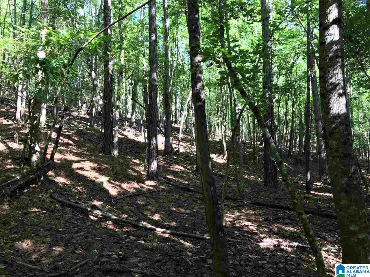 5425 East Mill Road Lineville, AL 36266 - Photo 44 of 50