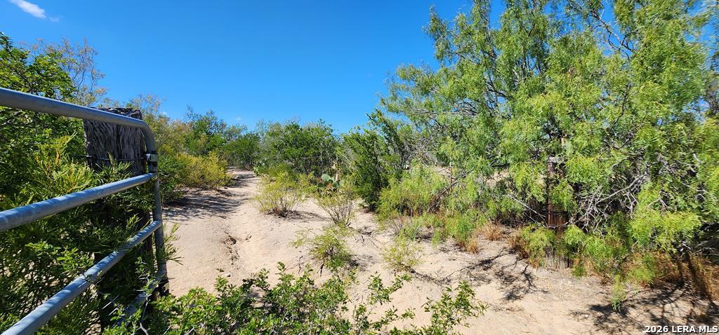 0 Loop 517 Carrizo Springs, TX 78834 - Photo 24 of 30