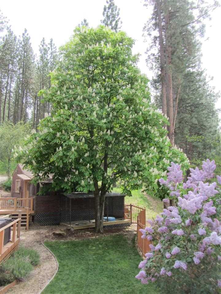 1320 South Lakeside Road Liberty Lake, WA 99019 - Photo 10 of 18