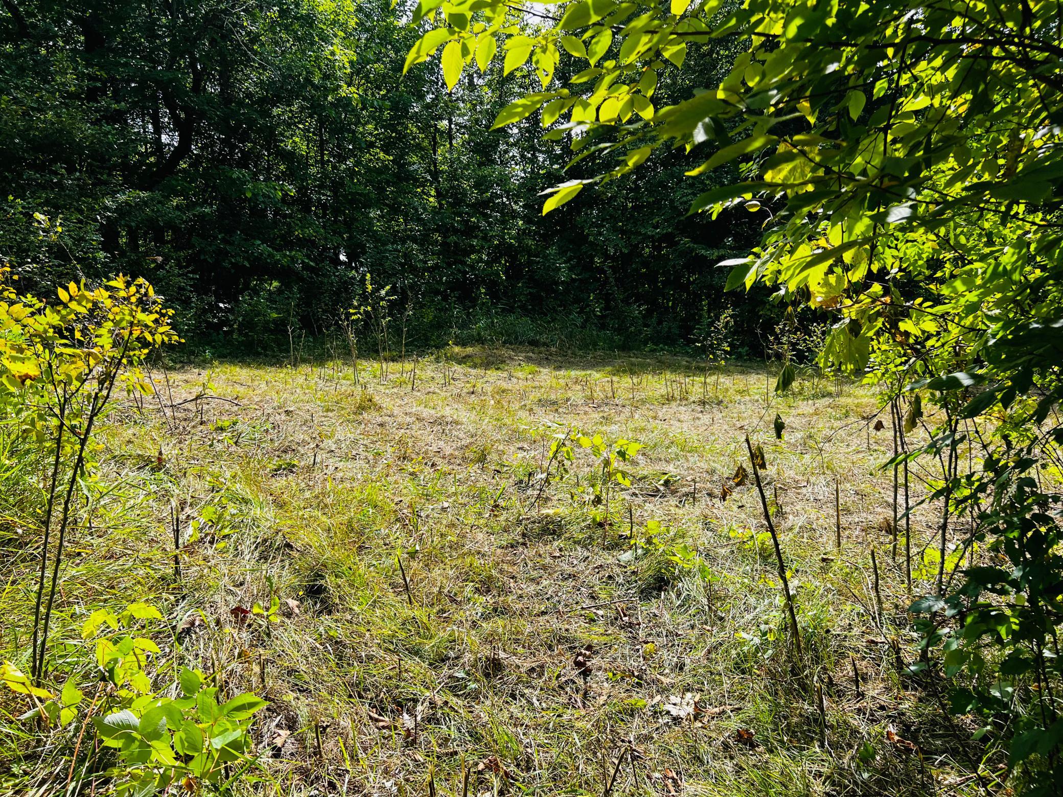 27 Co Highway 27 Rochert, MN 56578 - Photo 16 of 33 Gallery Image 16