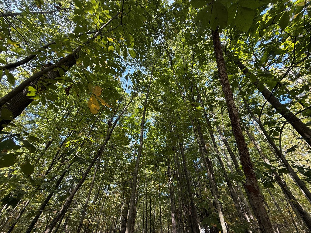 Upson Road Horseheads, NY 14845 - Photo 11 of 36