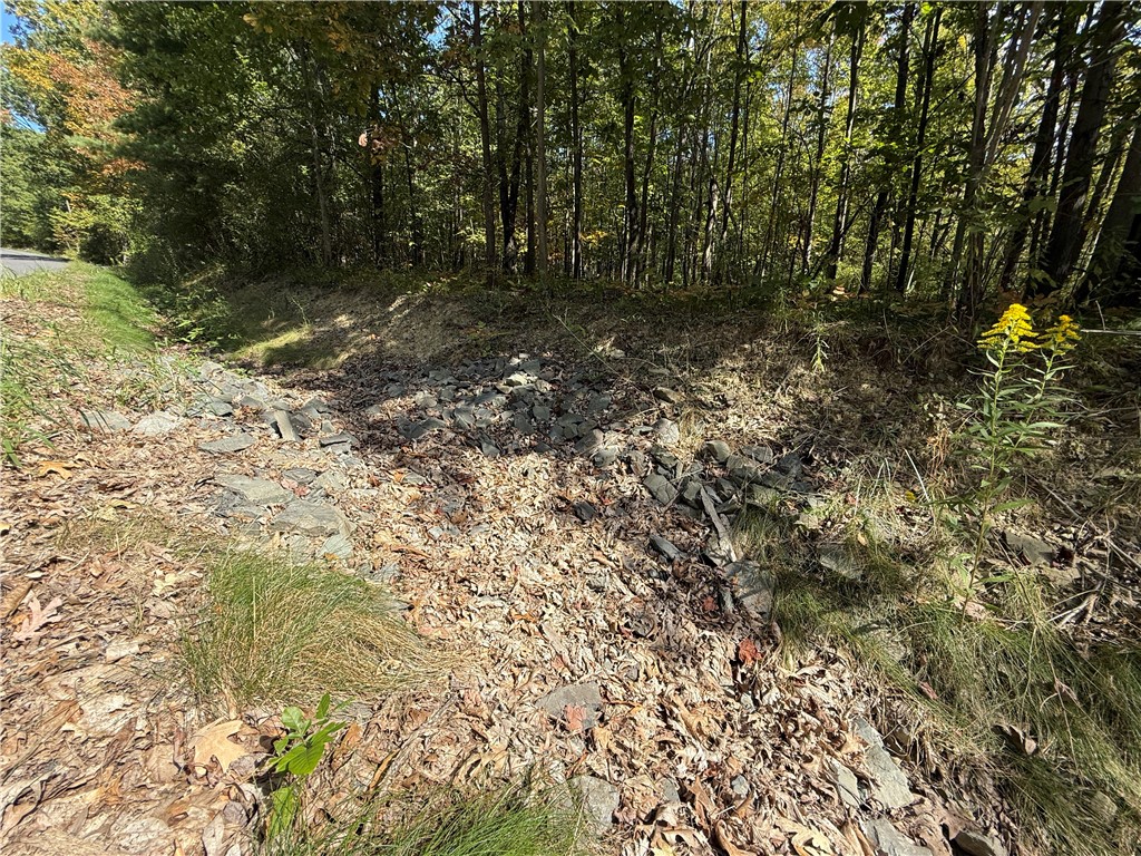 Upson Road Horseheads, NY 14845 - Photo 12 of 36