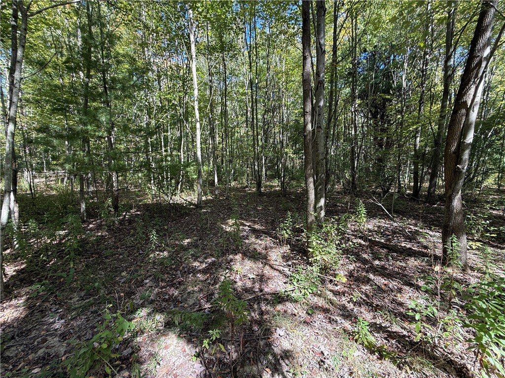 Upson Road Horseheads, NY 14845 - Photo 13 of 36