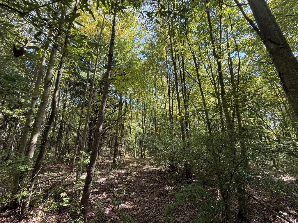 Upson Road Horseheads, NY 14845 - Photo 14 of 36