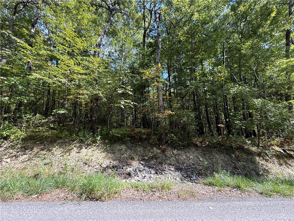 Upson Road Horseheads, NY 14845 - Photo 15 of 36