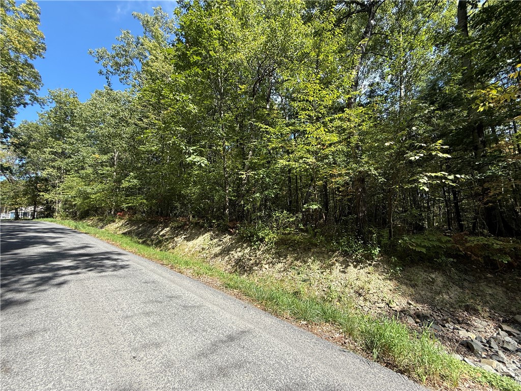 Upson Road Horseheads, NY 14845 - Photo 16 of 36