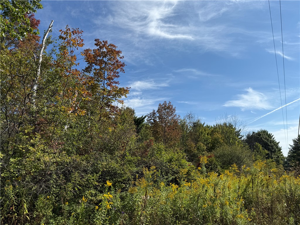 Upson Road Horseheads, NY 14845 - Photo 2 of 36