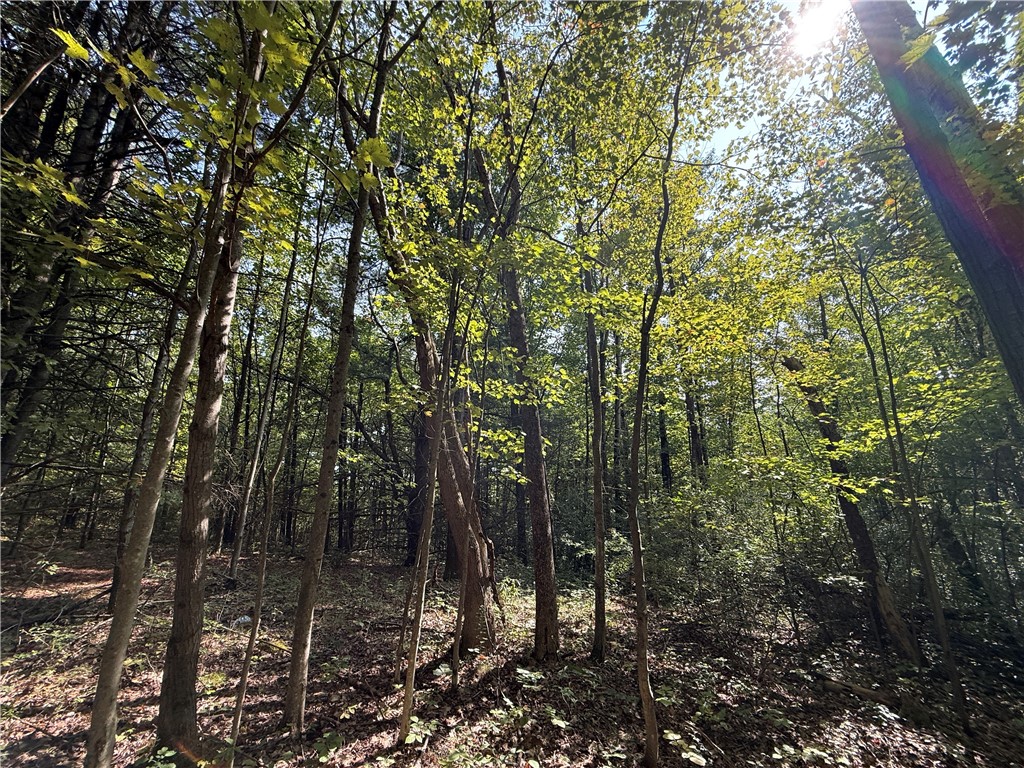 Upson Road Horseheads, NY 14845 - Photo 22 of 36