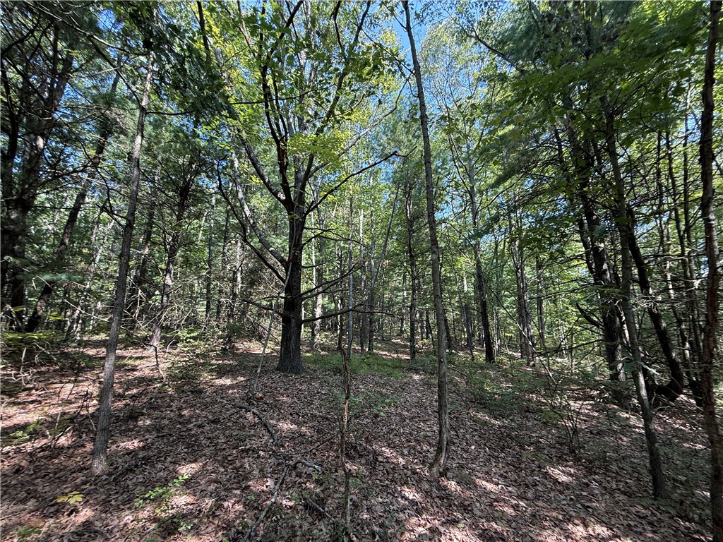 Upson Road Horseheads, NY 14845 - Photo 23 of 36