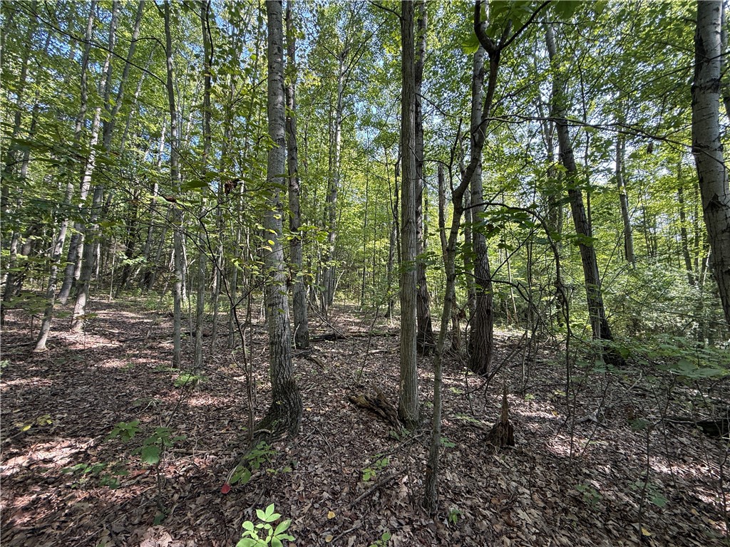 Upson Road Horseheads, NY 14845 - Photo 25 of 36