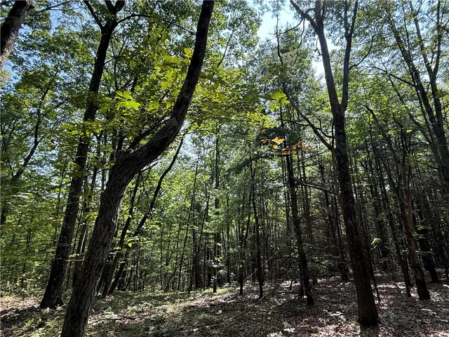 $79,900 | Upson Road, Horseheads, NY 14845