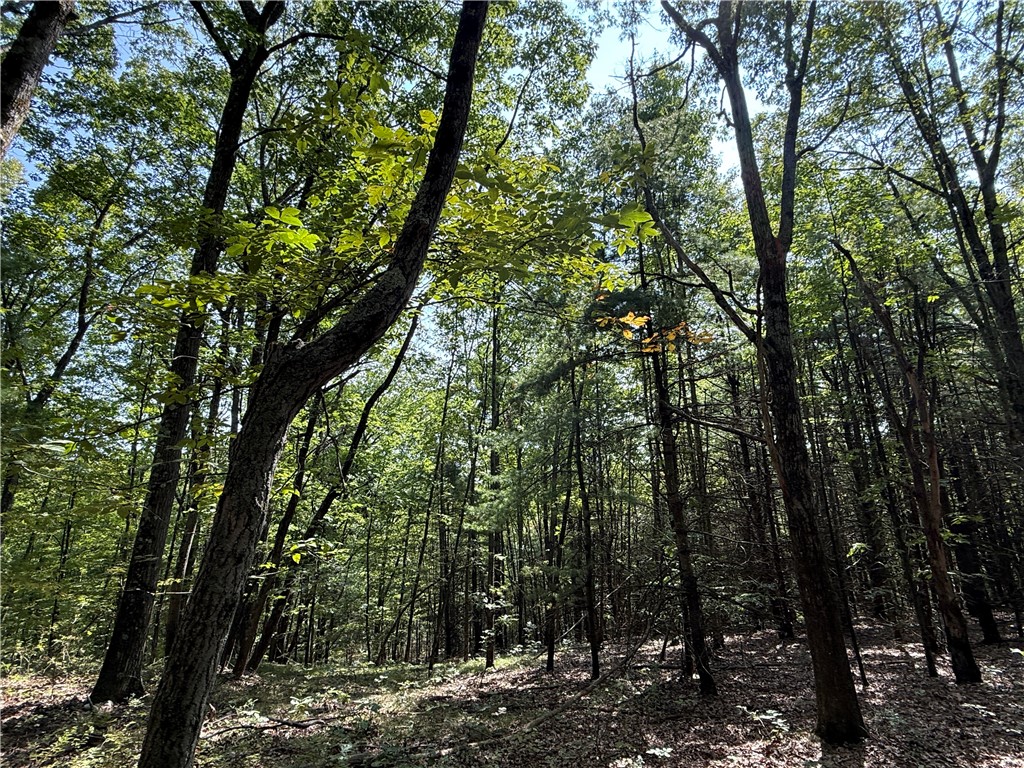 Upson Road Horseheads, NY 14845 - Photo 26 of 36