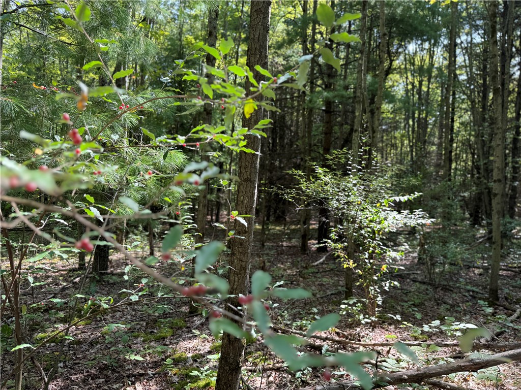 Upson Road Horseheads, NY 14845 - Photo 27 of 36