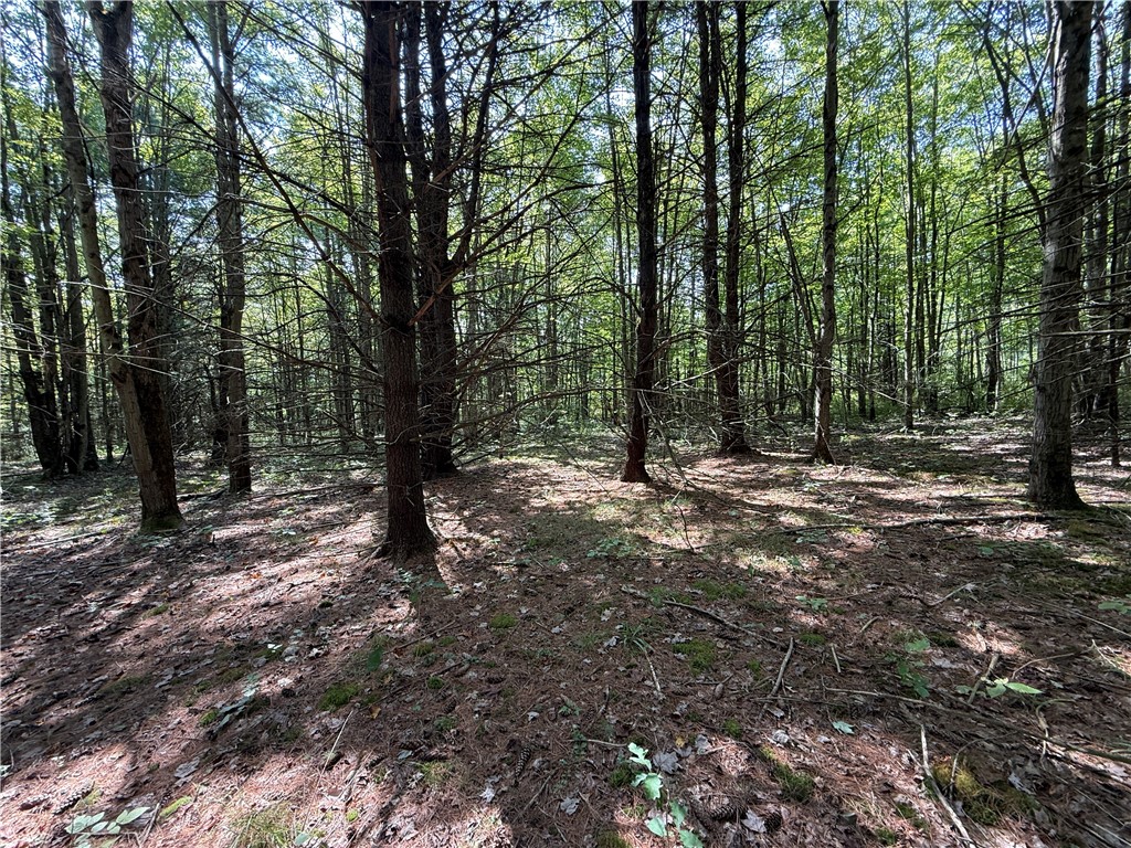 Upson Road Horseheads, NY 14845 - Photo 28 of 36