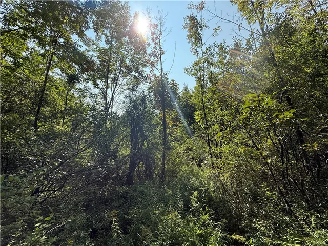 $79,900 | Upson Road, Horseheads, NY 14845