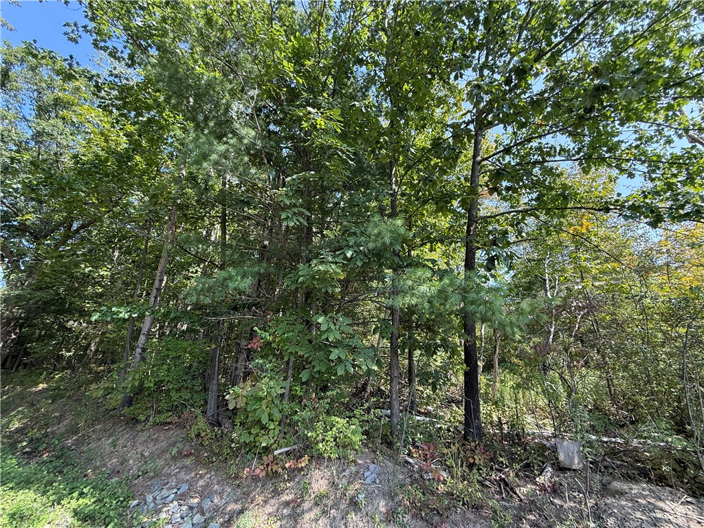 Upson Road Horseheads, NY 14845 - Photo 30 of 36