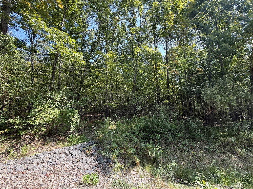 Upson Road Horseheads, NY 14845 - Photo 31 of 36