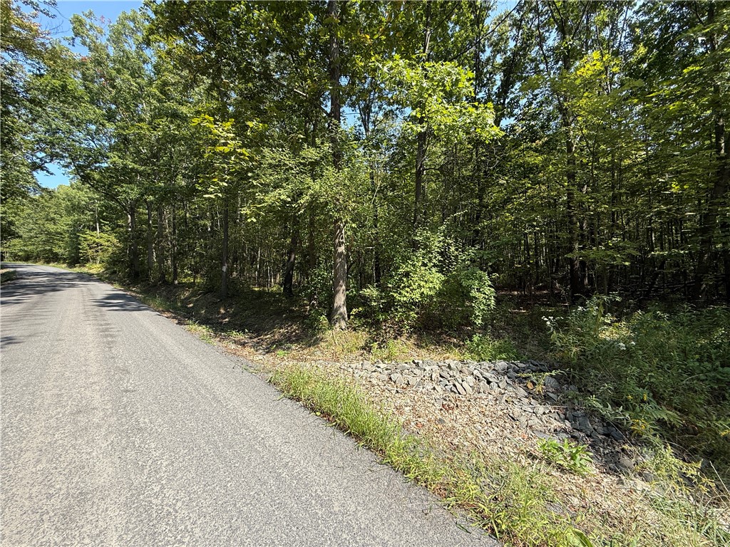 Upson Road Horseheads, NY 14845 - Photo 32 of 36