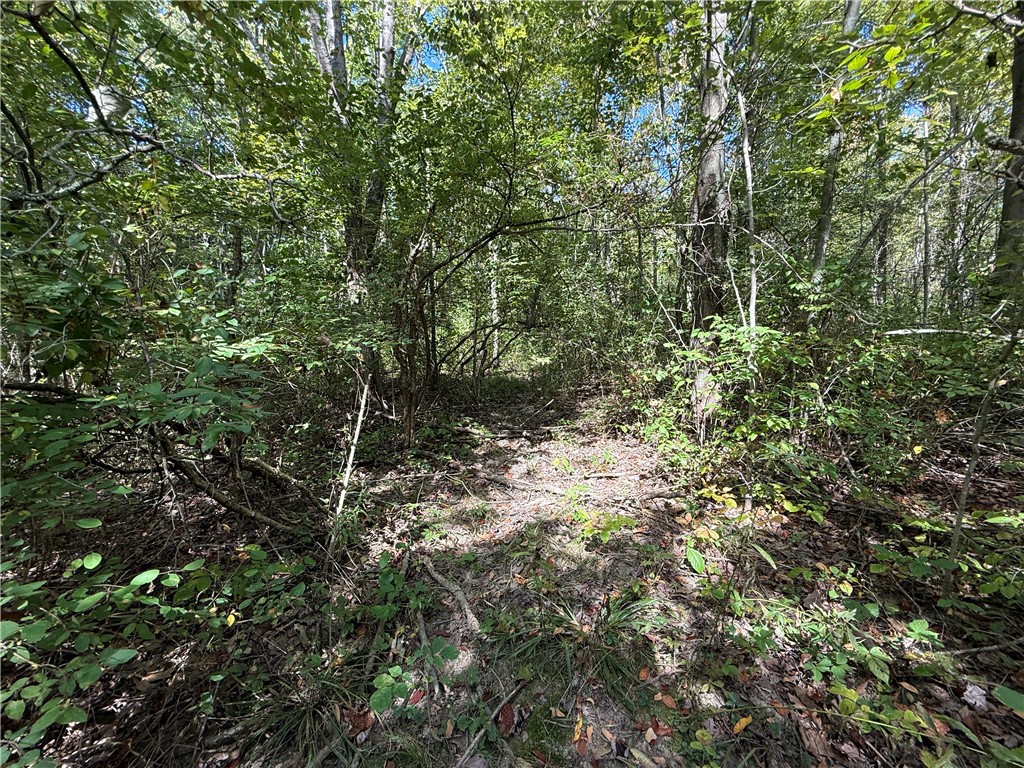 Upson Road Horseheads, NY 14845 - Photo 4 of 36