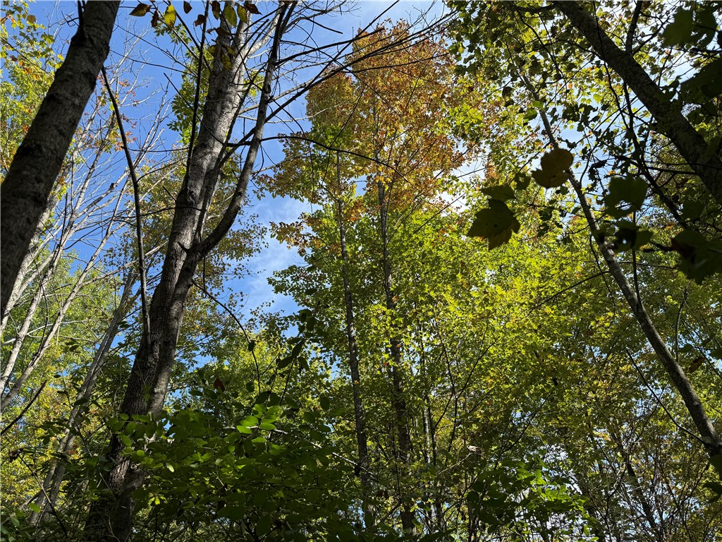 Upson Road Horseheads, NY 14845 - Photo 5 of 36