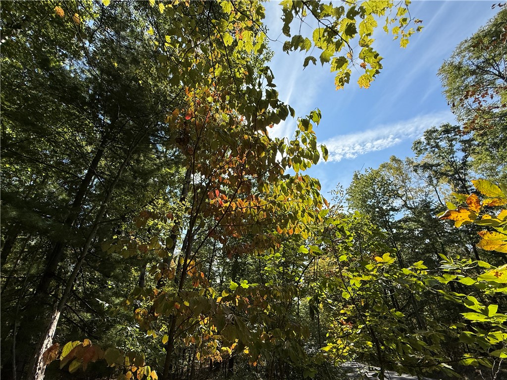 Upson Road Horseheads, NY 14845 - Photo 7 of 36