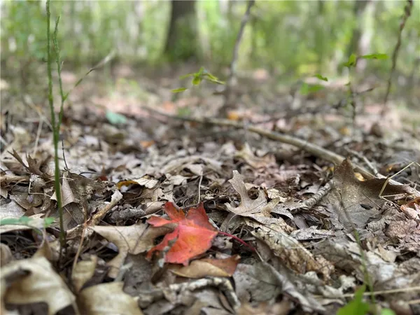 $79,900 | Upson Road, Horseheads, NY 14845