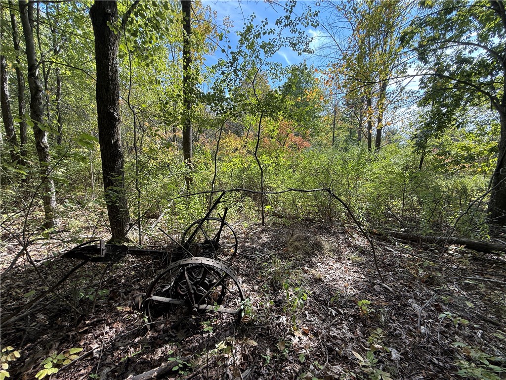 Upson Road Horseheads, NY 14845 - Photo 9 of 36