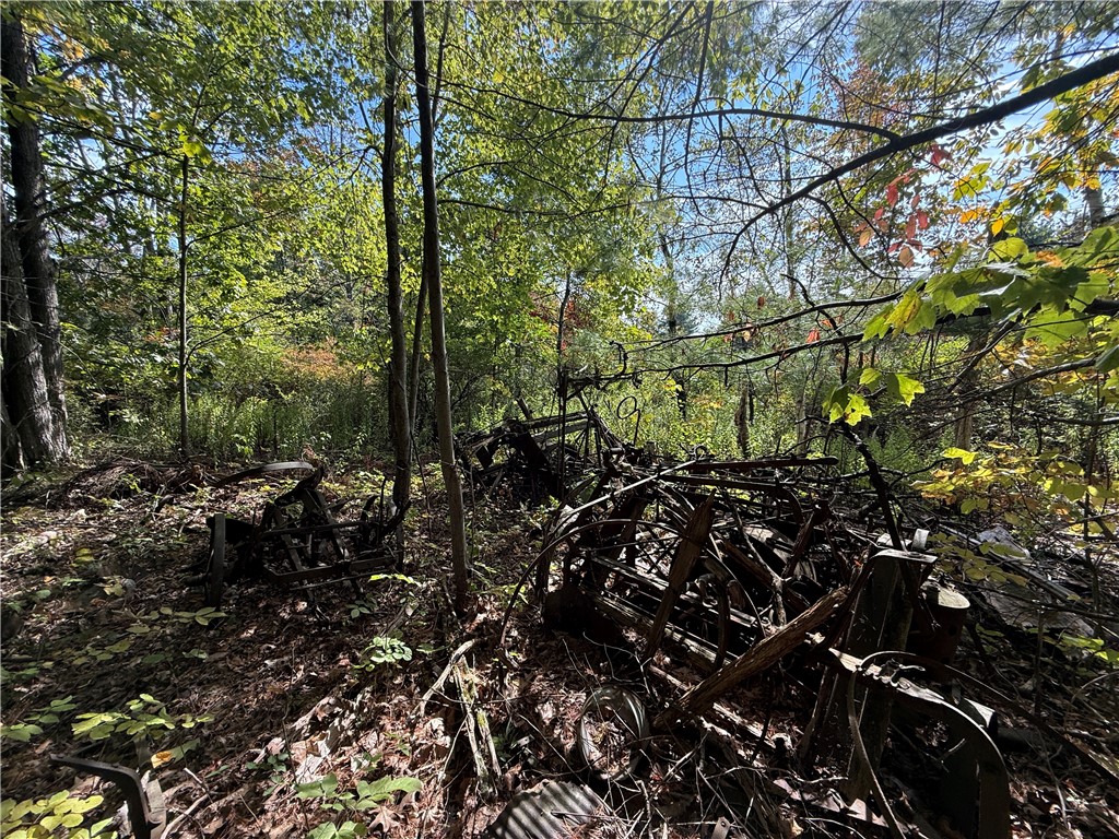 Upson Road Horseheads, NY 14845 - Photo 10 of 36