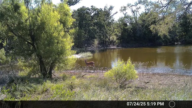 a view of a lake with a mountain