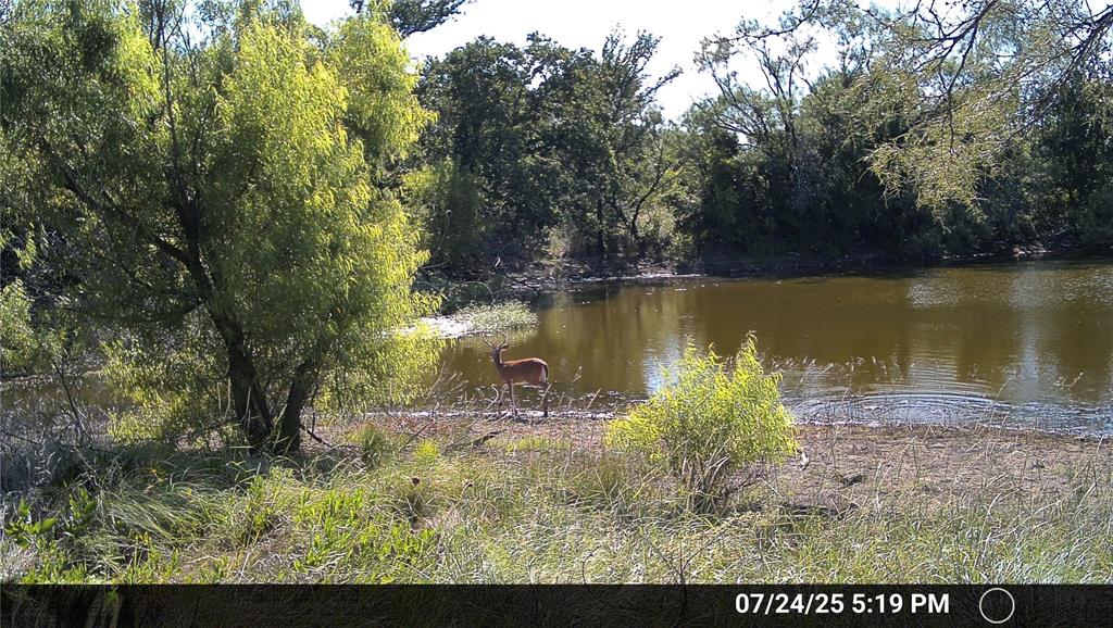 a view of a lake with a mountain
