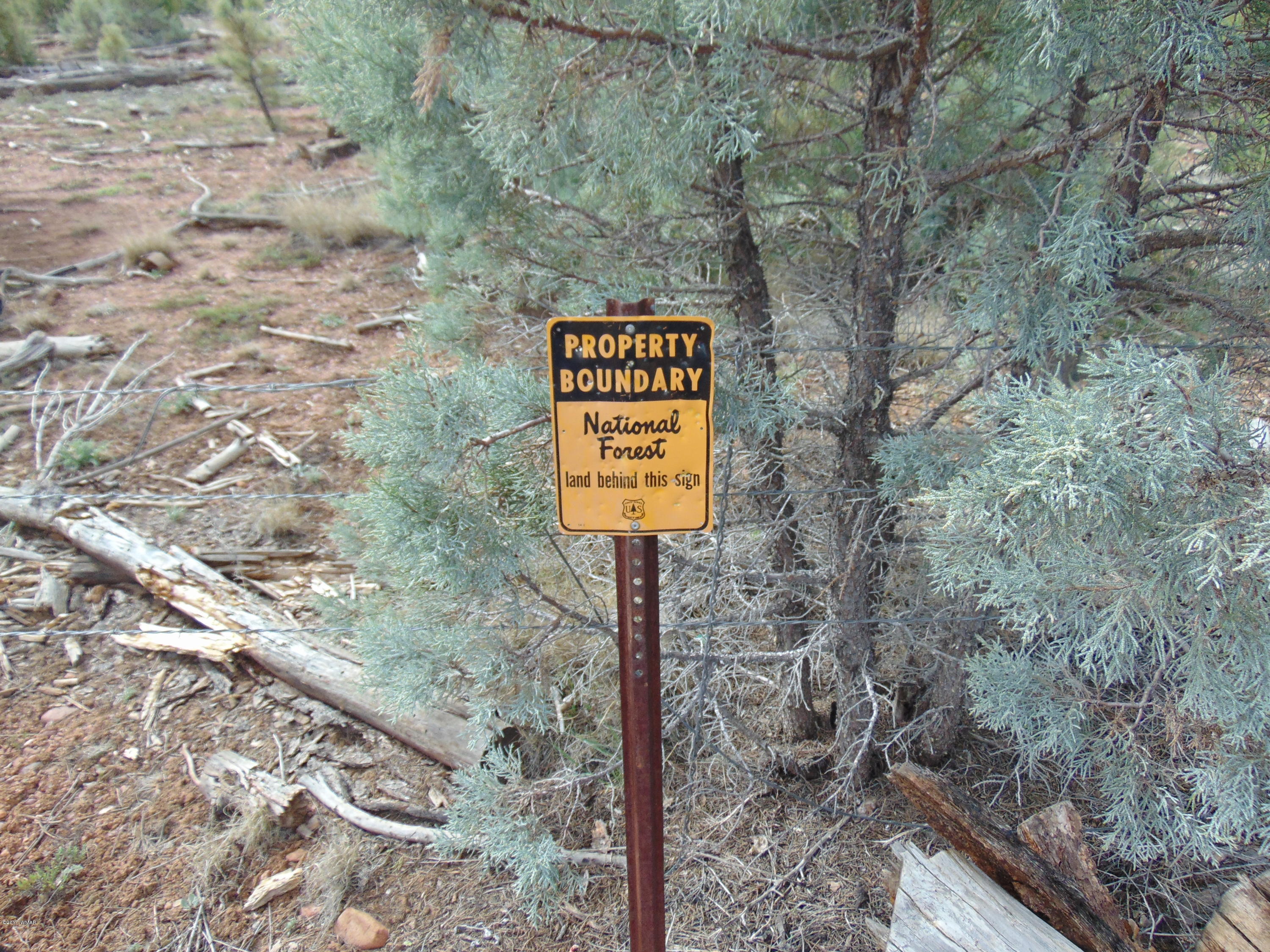 2287 Bison Rnch Trail Overgaard, AZ 85933 - Photo 1 of 51 Gallery Image 1