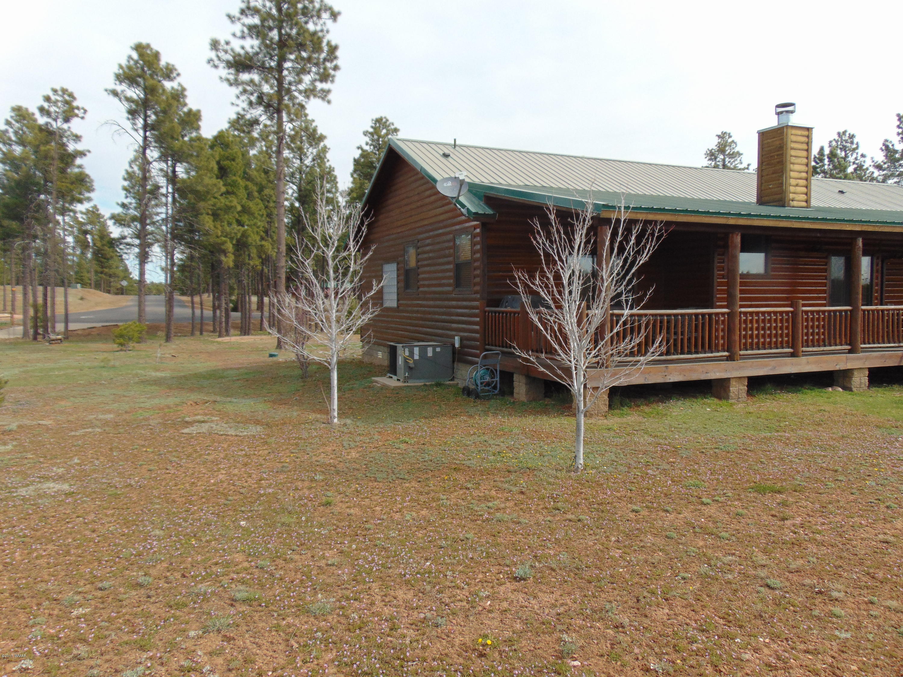 2287 Bison Rnch Trail Overgaard, AZ 85933 - Photo 44 of 51 Gallery Image 44