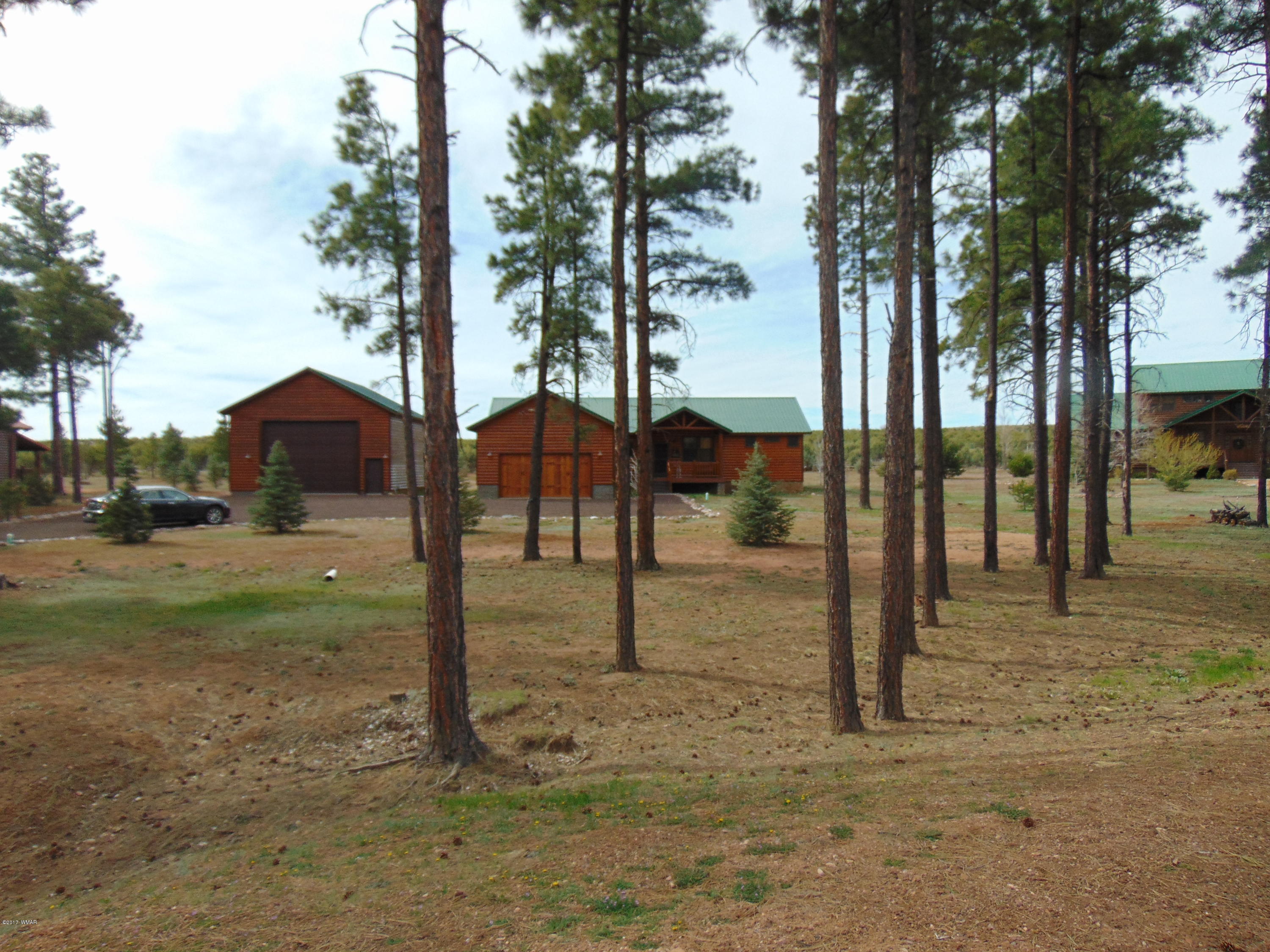 2287 Bison Rnch Trail Overgaard, AZ 85933 - Photo 7 of 51 Gallery Image 7