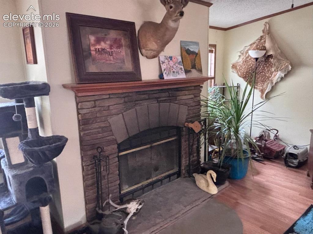 4758 Copper Gulch Road Cotopaxi, CO 81223 - Photo 5 of 19