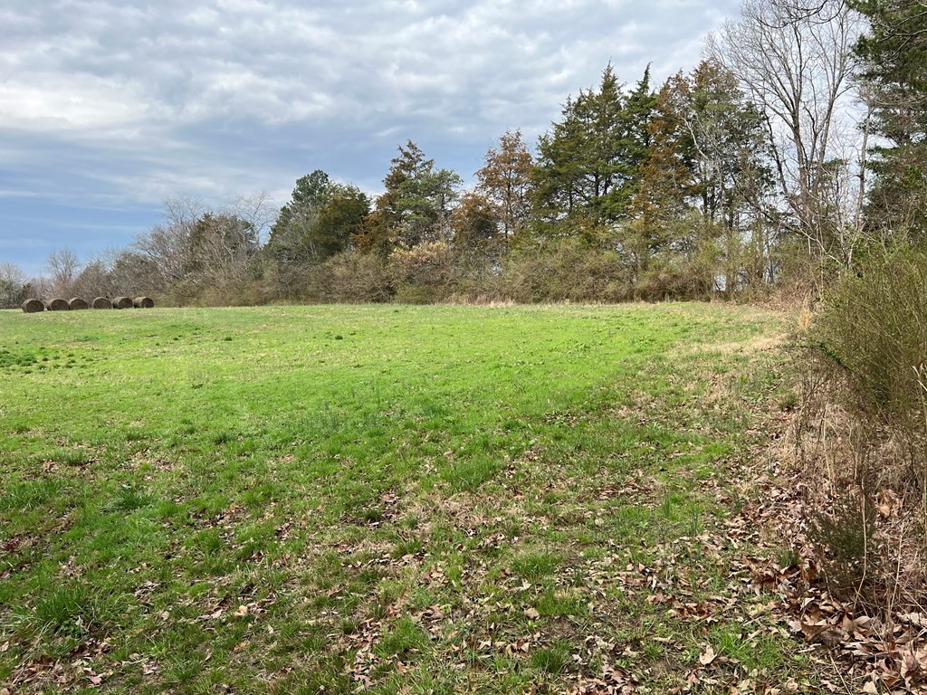 236 Loop Road Parrottsville, TN 37843 - Photo 6 of 21 Gallery Image 6