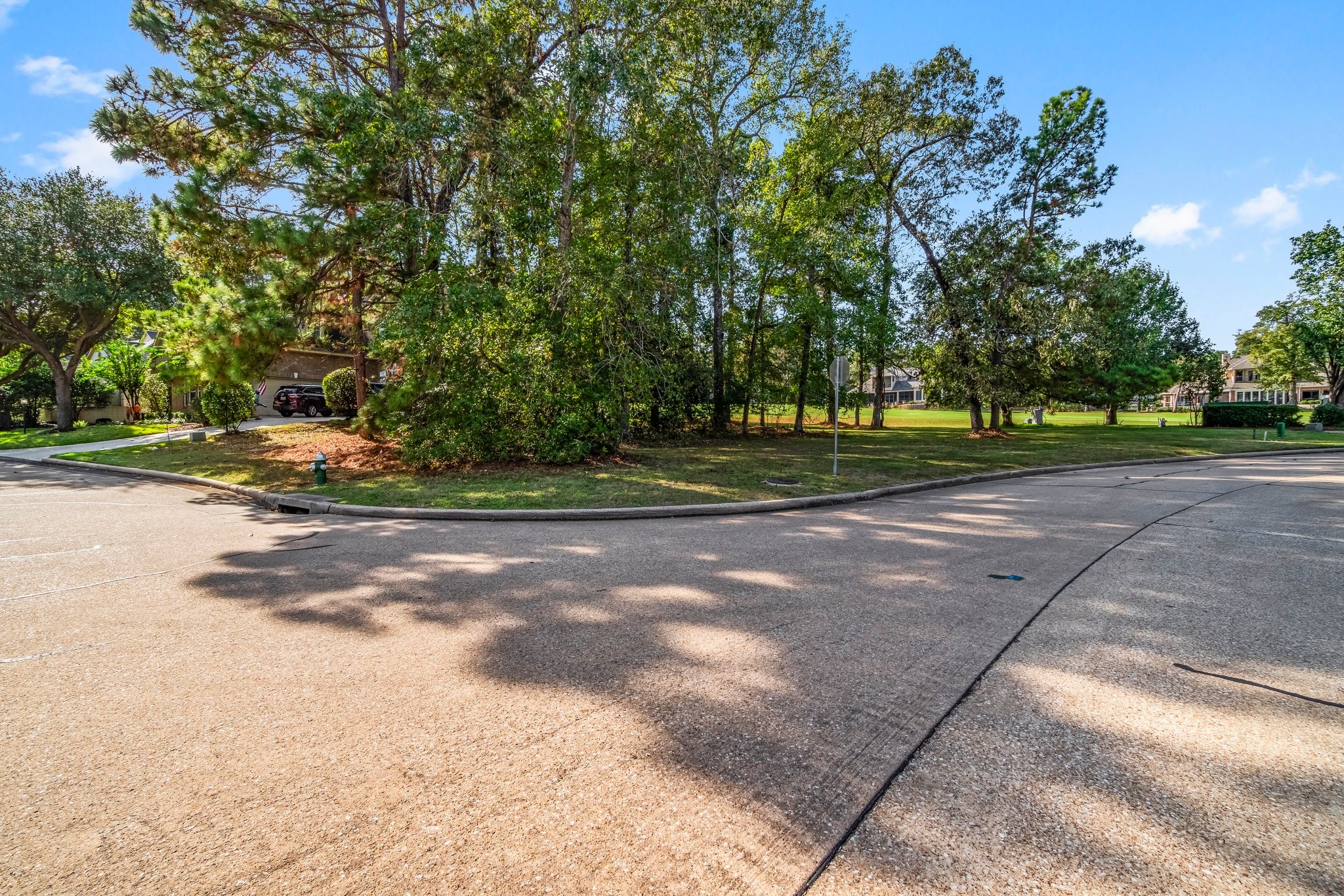 3 West Shore Lane Montgomery, TX 77356 - Photo 3 of 50 a view of a park