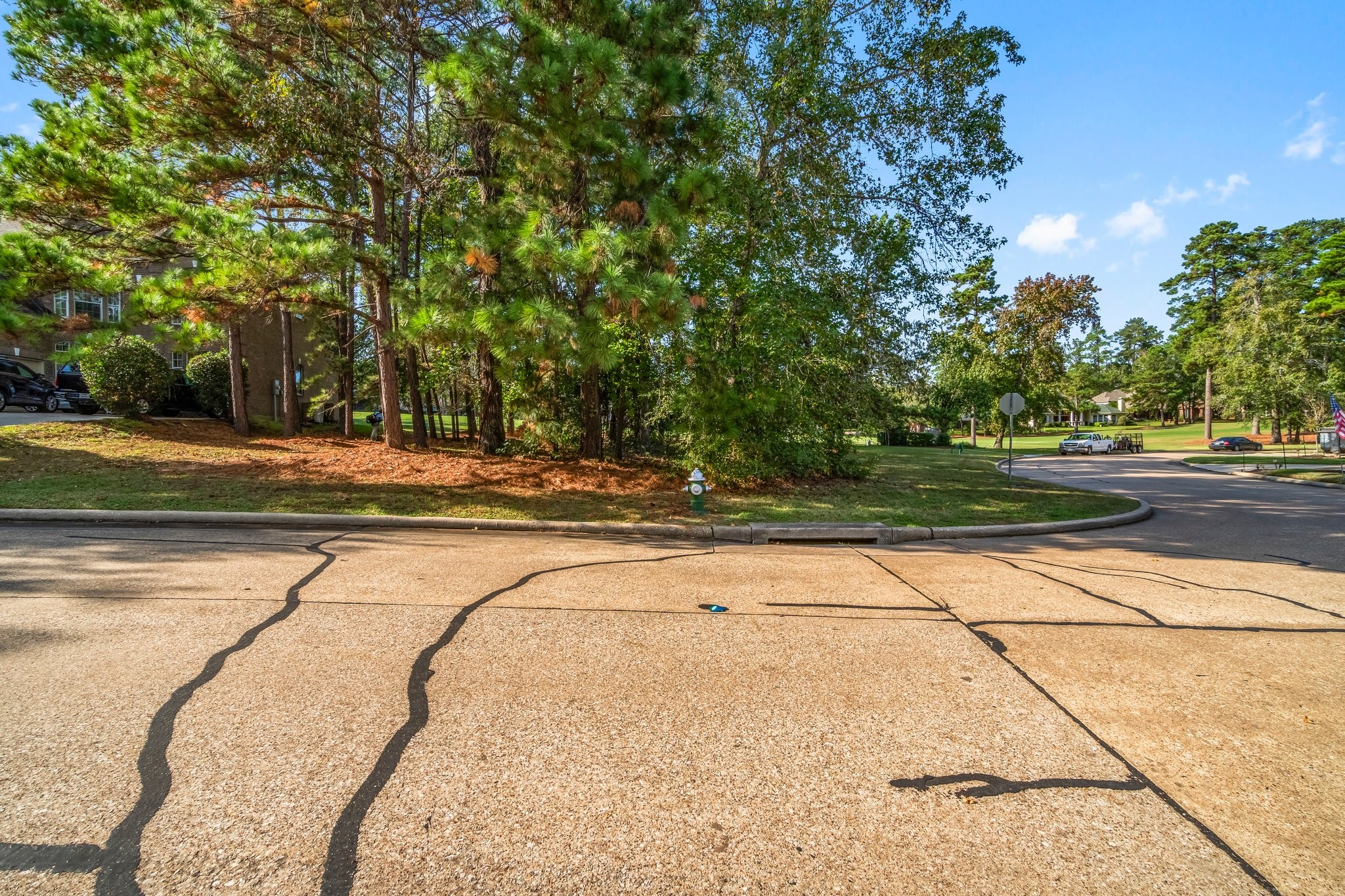 3 West Shore Lane Montgomery, TX 77356 - Photo 6 of 50 a view of swimming pool on the side of street
