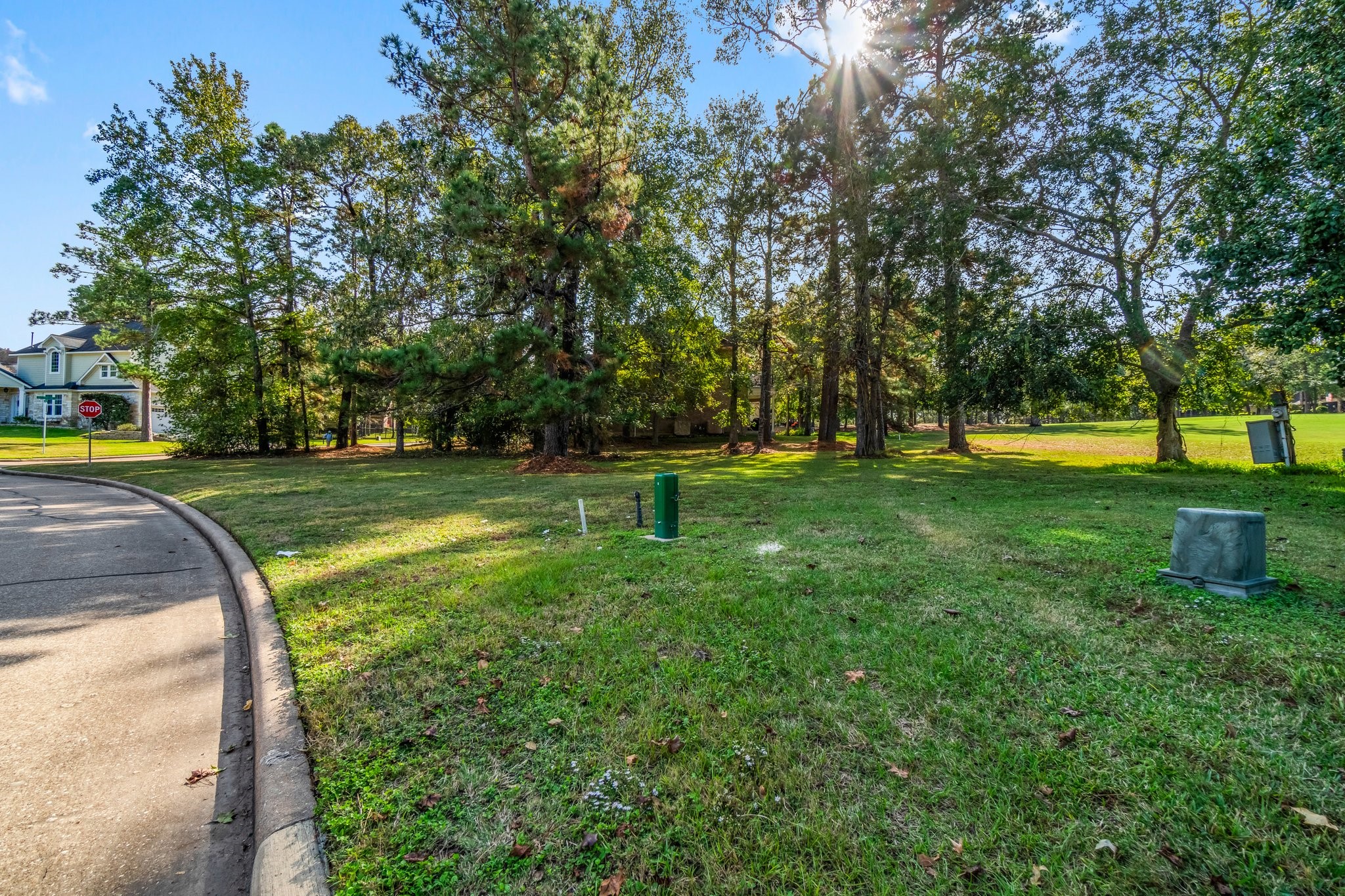 3 West Shore Lane Montgomery, TX 77356 - Photo 9 of 50 a view of a swimming pool with a yard